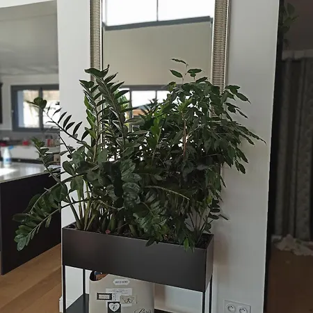 Vila La Du Bonheur Puilboreau